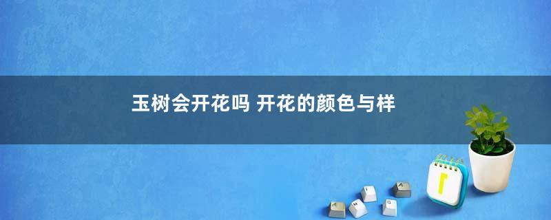 玉树会开花吗 开花的颜色与样子